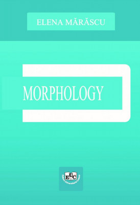 Morphology