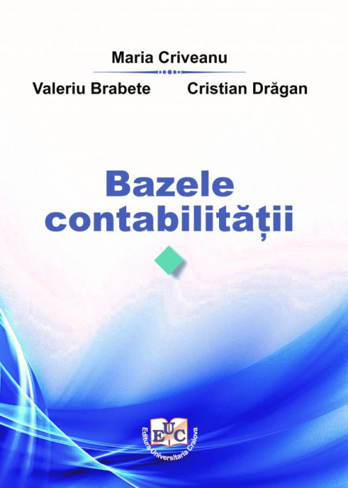 Bazele contabilității