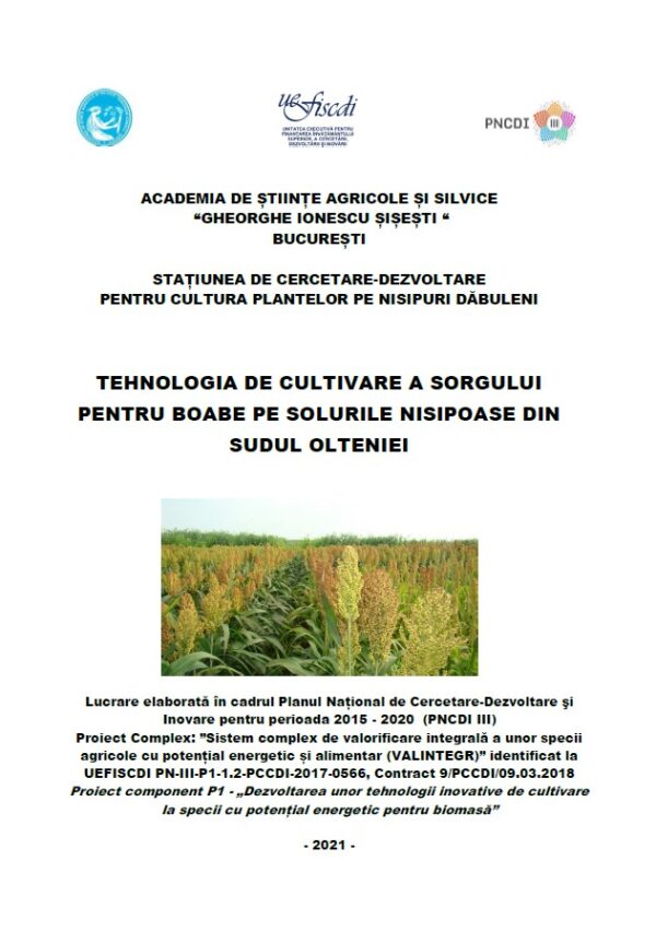 Tehnologia de cultivare a sorgului pentru boabe pe solurile nisipoase din sudul Olteniei
