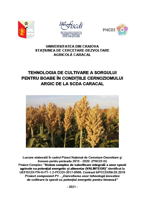 Tehnologia de cultivare  a sorgului pentru boabe în condițiile cernoziomului argic de la SCDA Caracal