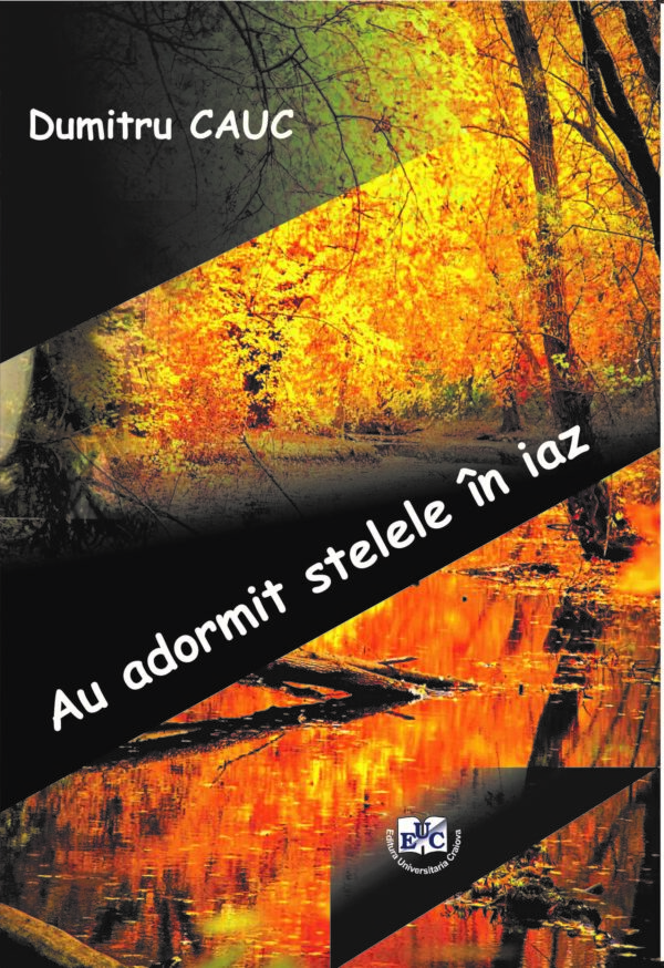 Au adormit stelele în iaz