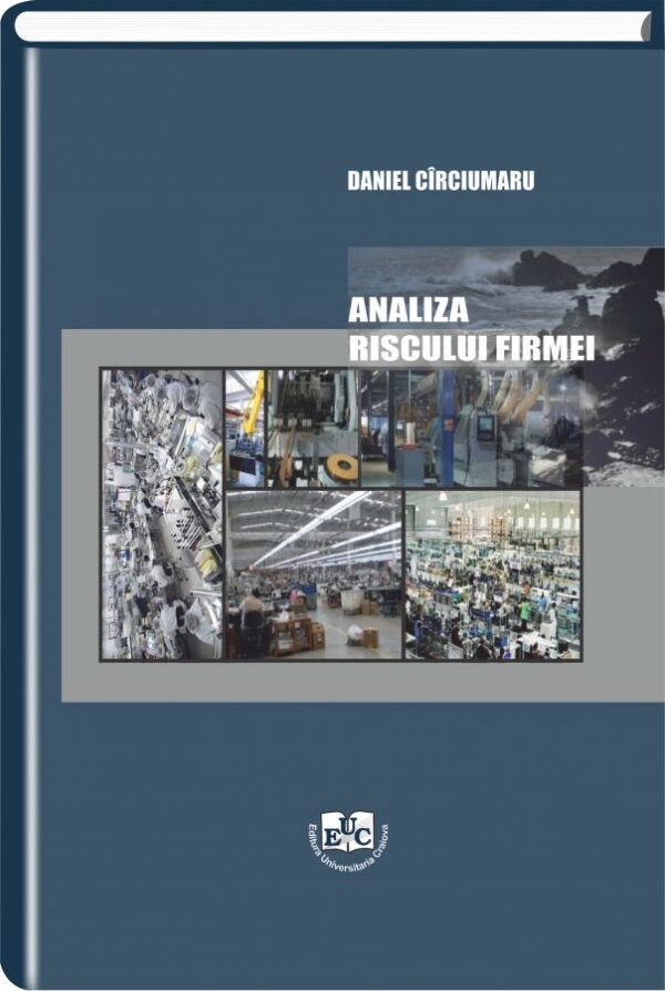 Analiza riscului firmei