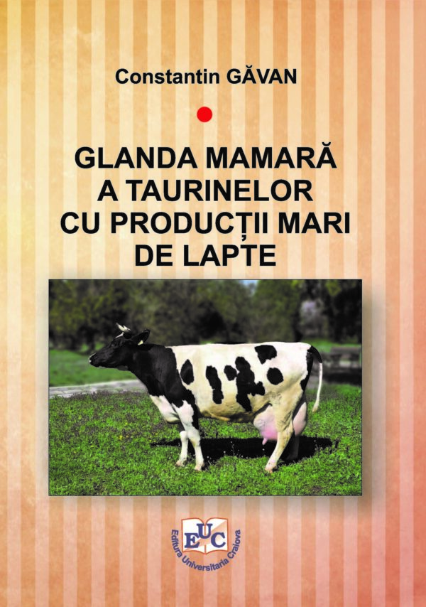Glanda mamară a taurinelor cu producții mari de lapte