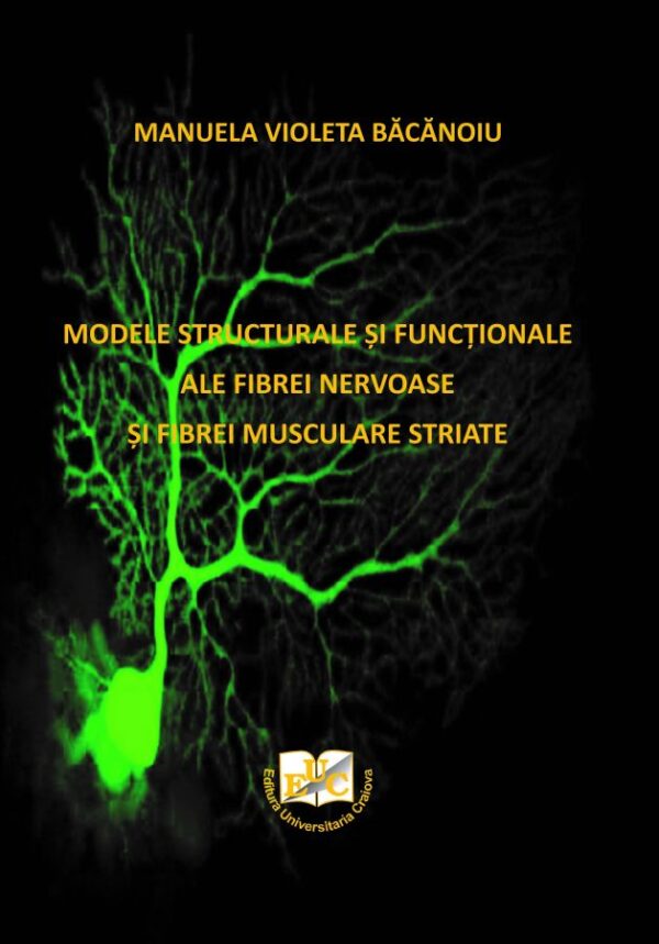 Modele structurale și funcționale ale fibrei nervoase și fibrei musculare striate