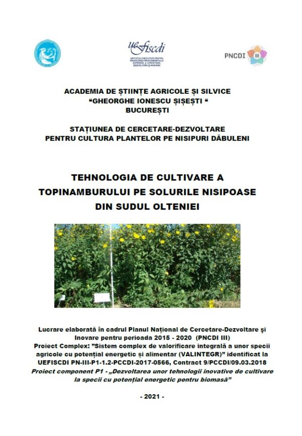 Tehnologia de cultivare a topinamburului pe solurile nisipoase din sudul Olteniei