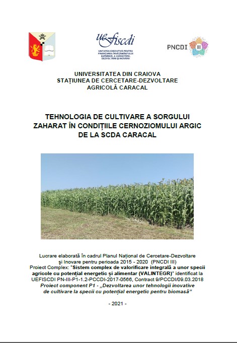 Tehnologia de cultivare  a sorgului zaharat în condițiile cernoziomului argic de la SCDA Caracal