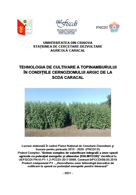 Tehnologia de cultivare a topinamburului în condițiile cernoziomului argic de la SCDA Caracal